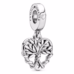 Pandora 799149C00, Sterling silver, Female, Family & Friends, Silver