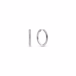 Pendientes Pandora Moments 299532C00 aro charm
