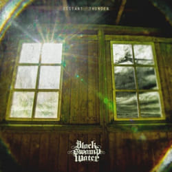 ImportCDs Distant Thunder Vinyl Heavy Metal
