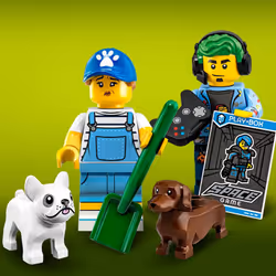 LEGO Series 19 Video Game Champ