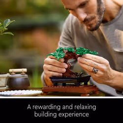 LEGO Creator Expert Bonsai Tree 10281
