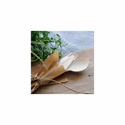 Gastro-Line 16cm Wooden Disposable Spoons, The Eco-Labelled Wooden Cutlery Choice for your Disposable Cutlery, 100% Compostable Birchwood from