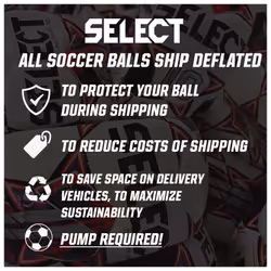 SELECT Numero 10 Soccer Ball  White/Black/Silver V25  Size 4