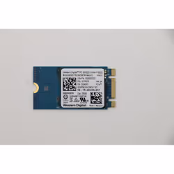 Lenovo 256GB M.2 PCIe NVMe