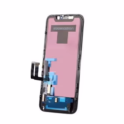 CoreParts MOBX-IPC11-LCD, Display, Apple, iPhone 11, Black, 15.5 cm (6.1"), 120 mm