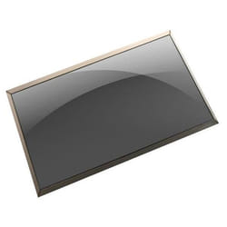 DELL LCD. Non Touch Screen. 14.0