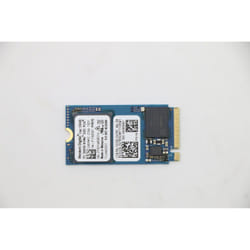 Lenovo 256GB M.2 PCIe NVMe