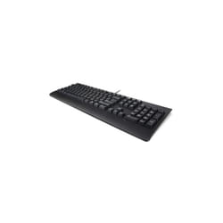 Keyboard USB TRDTNL KB BK DEN