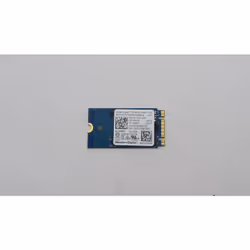 Lenovo 256GB M.2 PCIe NVMe SSD.