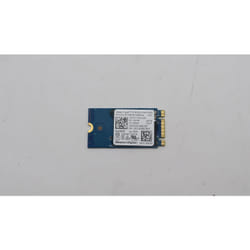 Lenovo 256GB M.2 PCIe NVMe SSD.