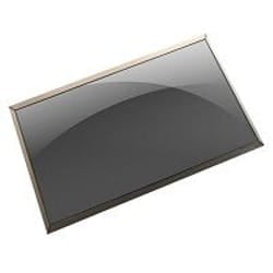 DELL T1WD3 laptop spare part Display