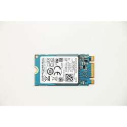 Lenovo ThinkPad 512GB M.2 2242 NVMe