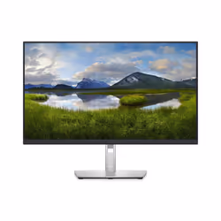 27 Monitor - P2722H