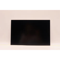 Lenovo 14-inch WUXGA anti-glare IPS