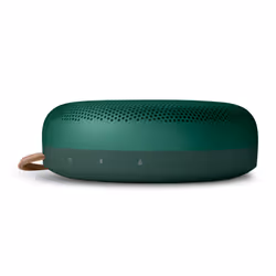 Bang & Olufsen Beosound A1 2nd Gen Green