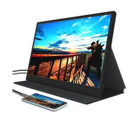 Denver PMO-15601 portable TV/monitor Portable monitor Black 39.6 cm (15.6") LED 1920 x 1080 pixels
