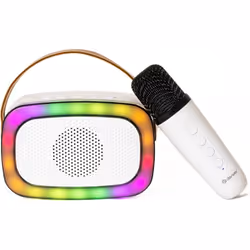 Portable Karaoke Bluetooth Speaker With 6 Voice Effects LED Light Show