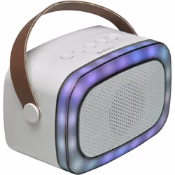 Portable Karaoke Bluetooth Speaker With 6 Voice Effects LED Light Show