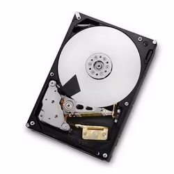 HGST 2TB SAS 64MB. RAID 24x7