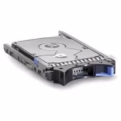 IBM 1TB 6Gbps NL 2.5" SAS SS SFF