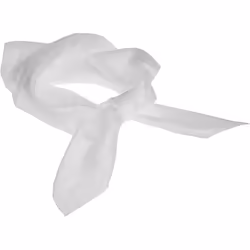 Creativ Company Silk Scarf