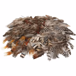 Creativ Company Natural Feathers