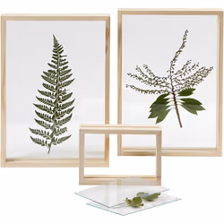 Creativ Company 56748 picture frame Single picture frame Transparent, Wood - Additional view 4