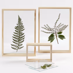Creativ Company 56748 picture frame Single picture frame Transparent, Wood - Additional view 5