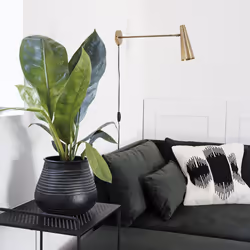 Society of Lifestyle 5707644516670 wall lighting
