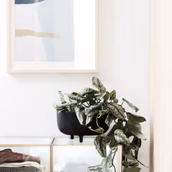 Society of Lifestyle 211150801 planter Aluminium