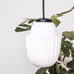 Society of Lifestyle 203970141 ceiling lighting