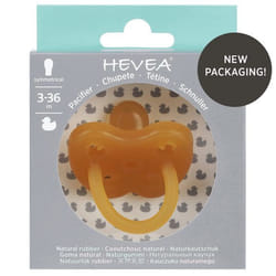 HEVEA 4037 baby pacifier Classic baby pacifier Rubber Beige
