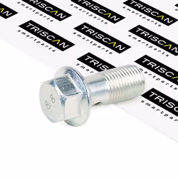 Hollow Screw; TRISCAN; for NISSAN; 94535524, 5872621300, 587262F000, 100510L, SYG100510L