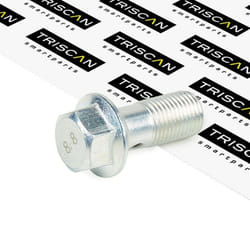 TRISCAN 8105 3256 Hollow Screw