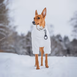 Orbiloc Dog Dual White Plastic Collar battery - Additional view 6