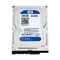 Western Digital Caviar Blue 250GB internal hard drive 7200 RPM 16 MB 3