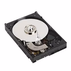 Increase the storage capacity of your system with the 1 TB Hard Drive from Dell. Offering a rotational speed of 7.200 RPM. th ...