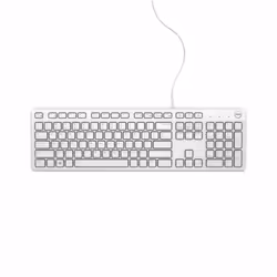 DELL KB216, Full-size (100%), Wired, USB, QWERTZ, White