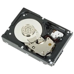 DELL 1D9NN internal hard drive 2 TB 7200 RPM 3.5&quot; SAS