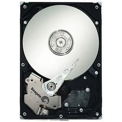 Seagate 250 GB 3G 7.2K 3.5 inch SATA