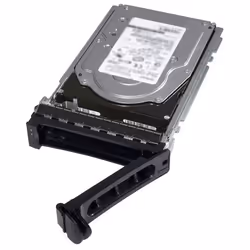 Increase the storage capacity of your system with the 1.2 TB Hard Drive from Dell. Offering a rotational speed of 10.000 RPM. ...