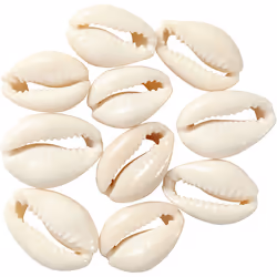 Creativ Company 61016 beads Beige 6 pc(s)
