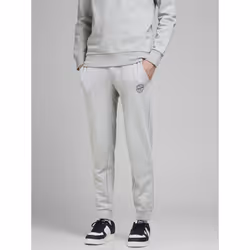 Jack & Jones 12165322, Joggers, Adult, Grey, S, Cotton, Do not bleach