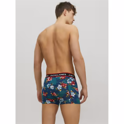 Jack & Jones 12171253_2161_760754.263 underpants Black, Blue