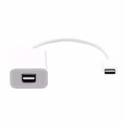 ProXtend USB-C to Mini DP 20cm white