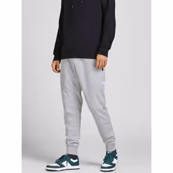 Jack & Jones 12184970, Joggers, Adult, Grey, L, Cotton, Polyester, Do not bleach
