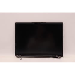 Lenovo 14-inch WUXGA hybrid display