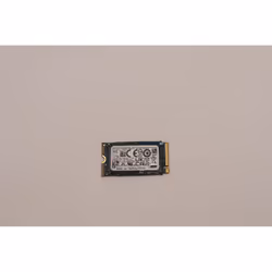 Lenovo 256GB M.2 2242 NVMe SSD