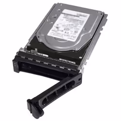 DELL 480GB 12G 2.5INCH MLC RI SAS