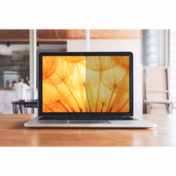 3M Bright Screen Privacy Filter for Dell™ Multi-line Laptops 13in, 3:2, BPNDE005 - Additional view 5